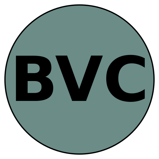 BrightVision Consulting